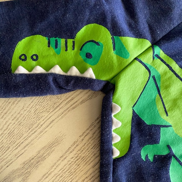 Old navy dinosaur sweatsuit - Picture 4 of 7